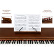 Classic Cantabile DP-730 Digital Piano Walnut